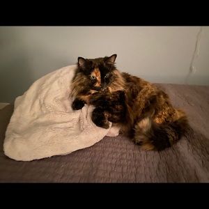 Meet your Posher, Sherry